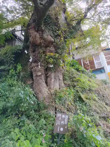 武蔵御嶽神社(東京都)