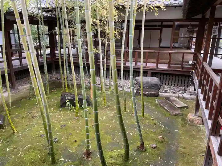妙顯寺(妙顕寺)(京都府)