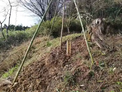 米倉神社の自然