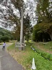 諏訪大社上社前宮(長野県)