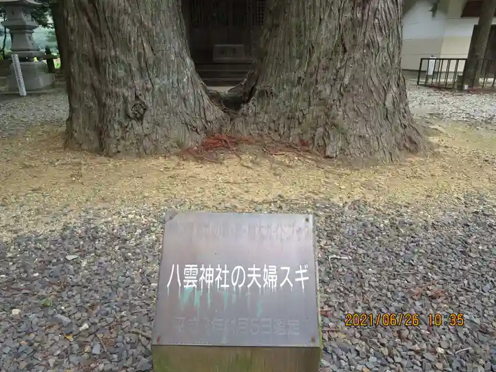 飯豊和気神社の自然