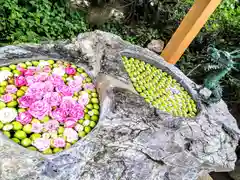 廣田神社～病厄除守護神～(青森県)