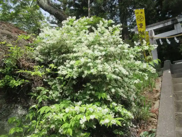 聖神社(埼玉県)