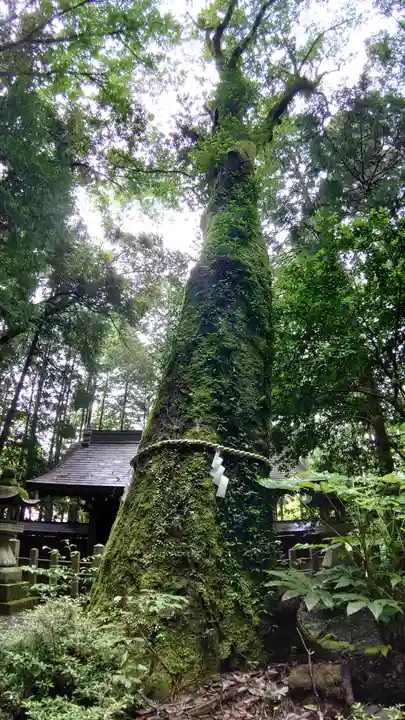 八幡神社松平東照宮(愛知県)