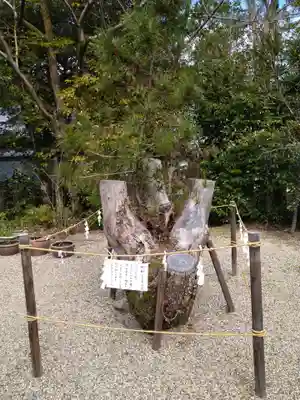 大和神社(奈良県)