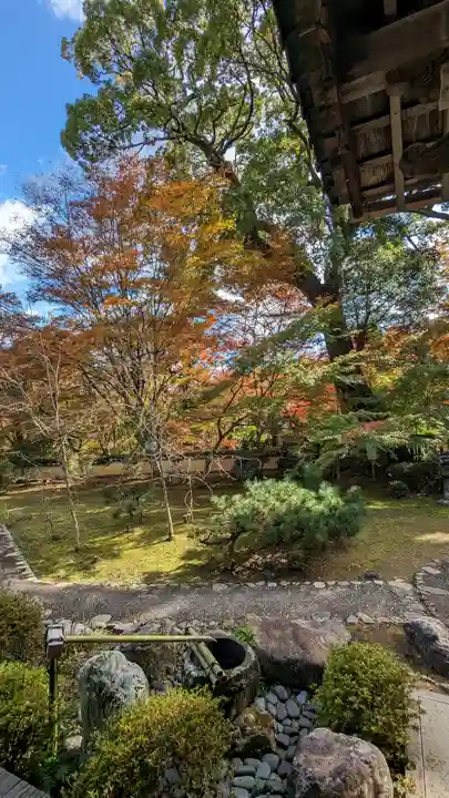 十輪寺(京都府)
