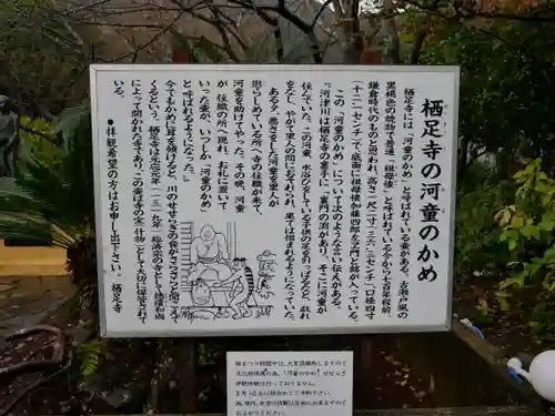 かっぱの寺 栖足寺の建物その他