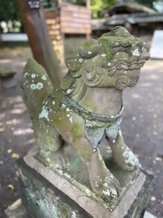 小竹八幡神社の{uncategorized: "未分類", other: "その他", undefined: "問題あり", building: "その他建物", grave: "お墓", sacred_gate: "鳥居", guardian: "狛犬", statue: "像", buddha: "仏像", history: "歴史", nature: "自然", garden: "庭園", animal: "動物", pagoda: "塔", temizu: "手水舎", mountain_gate: "山門・神門", sanctuary: "本殿・本堂", subordinate: "末社・摂社", art: "芸術", scenery: "景色", jizo: "地蔵", ema: "絵馬", goshuin: "御朱印", omikuji: "おみくじ", items: "授与品その他", amulet: "お守り", goshuincho: "御朱印帳", eats: "食事", festival: "お祭り", votive_dance: "神楽", shichigosan: "七五三参", wedding: "結婚式", experience: "体験その他", initially: "初詣", around: "周辺", anti_infection: "感染症対策"}