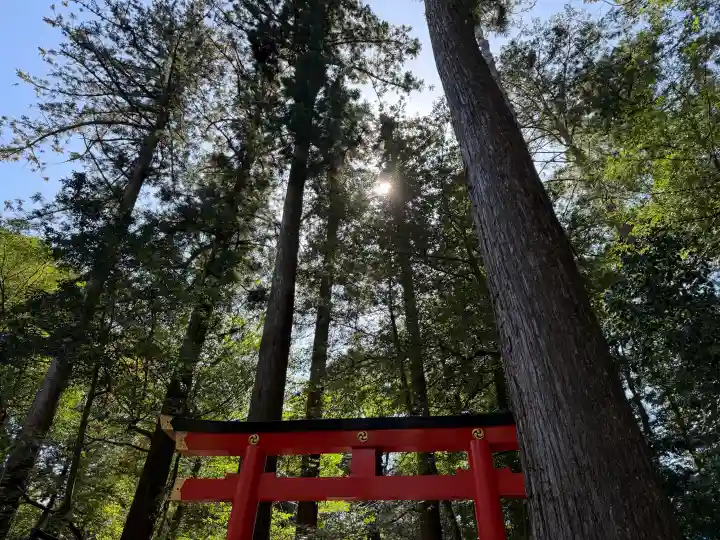 椿岸神社の{uncategorized: "未分類", other: "その他", undefined: "問題あり", building: "その他建物", grave: "お墓", sacred_gate: "鳥居", guardian: "狛犬", statue: "像", buddha: "仏像", history: "歴史", nature: "自然", garden: "庭園", animal: "動物", pagoda: "塔", temizu: "手水舎", mountain_gate: "山門・神門", sanctuary: "本殿・本堂", subordinate: "末社・摂社", art: "芸術", scenery: "景色", jizo: "地蔵", ema: "絵馬", goshuin: "御朱印", omikuji: "おみくじ", items: "授与品その他", amulet: "お守り", goshuincho: "御朱印帳", eats: "食事", festival: "お祭り", votive_dance: "神楽", shichigosan: "七五三参", wedding: "結婚式", experience: "体験その他", initially: "初詣", around: "周辺", anti_infection: "感染症対策"}