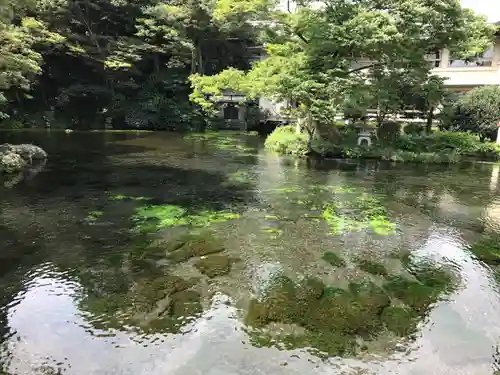 富士山本宮浅間大社の庭園