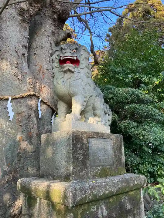 比々多神社(神奈川県)
