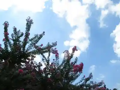 富蔵院(千葉県)