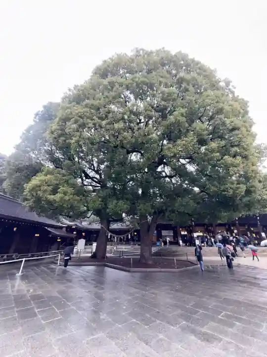 明治神宮(東京都)