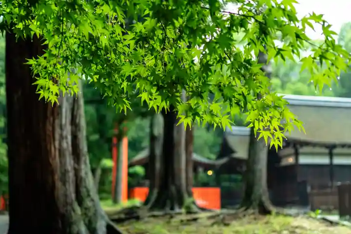 賀茂別雷神社(上賀茂神社)(京都府)