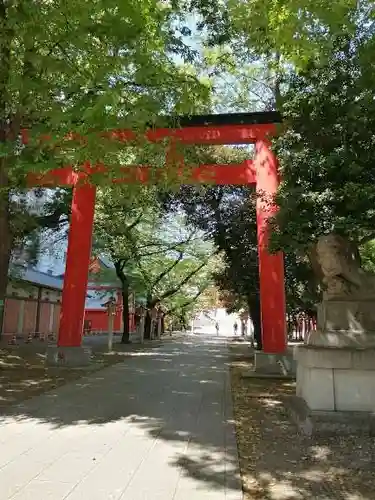 花園神社の鳥居