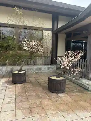 岩津天満宮(愛知県)