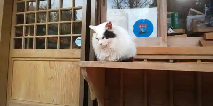 伏見稲荷大社の動物