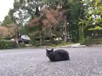 清泰寺(岐阜県)