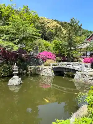矢田寺(奈良県)