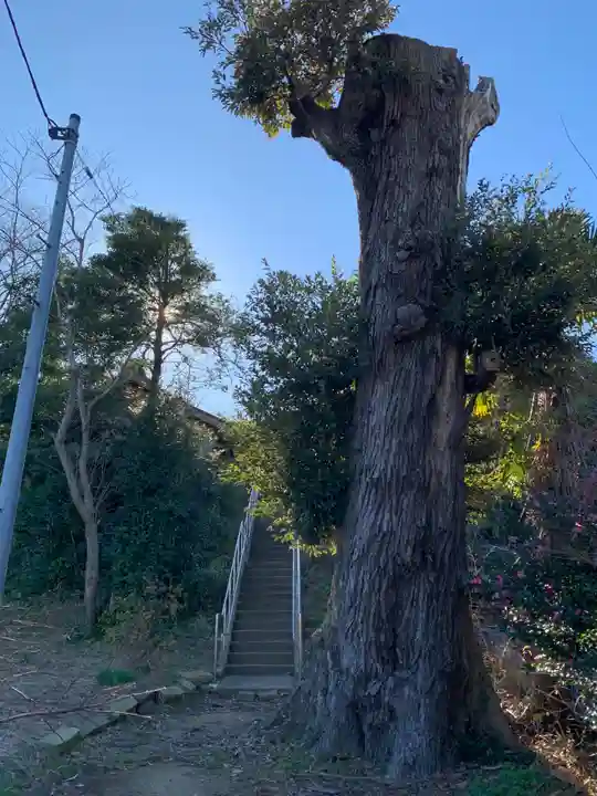 稲荷神社(千葉県)