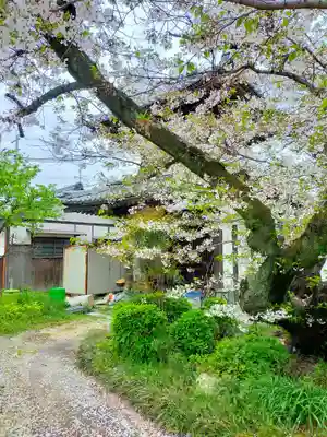 西法寺(大阪府)