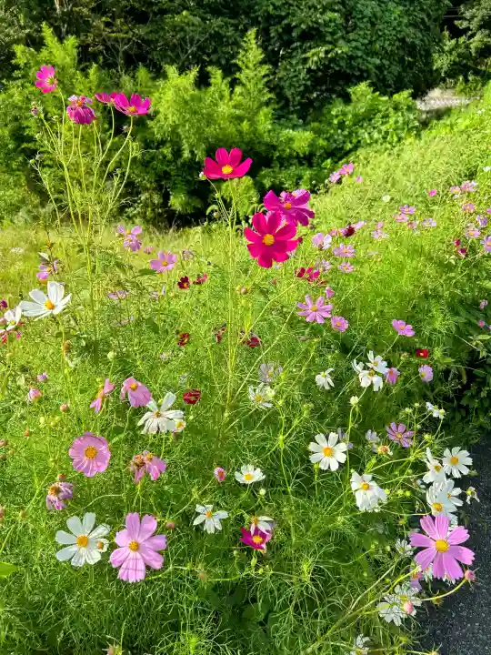 宝珠山 立石寺の{uncategorized: "未分類", other: "その他", undefined: "問題あり", building: "その他建物", grave: "お墓", sacred_gate: "鳥居", guardian: "狛犬", statue: "像", buddha: "仏像", history: "歴史", nature: "自然", garden: "庭園", animal: "動物", pagoda: "塔", temizu: "手水舎", mountain_gate: "山門・神門", sanctuary: "本殿・本堂", subordinate: "末社・摂社", art: "芸術", scenery: "景色", jizo: "地蔵", ema: "絵馬", goshuin: "御朱印", omikuji: "おみくじ", items: "授与品その他", amulet: "お守り", goshuincho: "御朱印帳", eats: "食事", festival: "お祭り", votive_dance: "神楽", shichigosan: "七五三参", wedding: "結婚式", experience: "体験その他", initially: "初詣", around: "周辺", anti_infection: "感染症対策"}