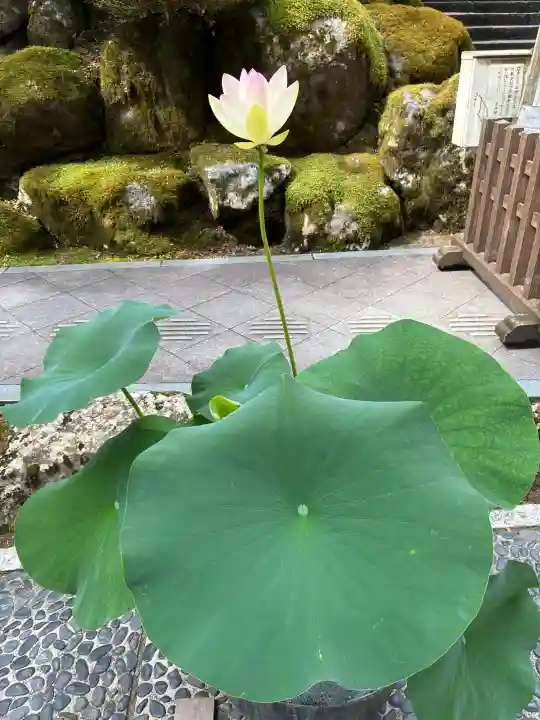 永平寺(福井県)