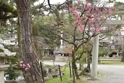 長浜八幡宮の自然