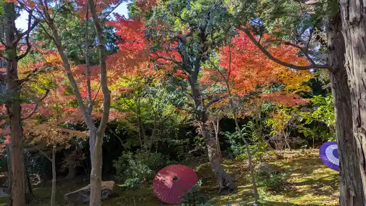 勝林寺(京都府)