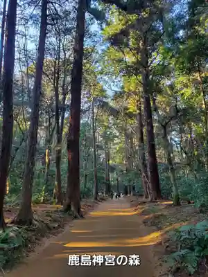 鹿島神宮(茨城県)