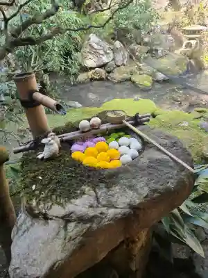 柳谷観音　楊谷寺の{uncategorized: "未分類", other: "その他", undefined: "問題あり", building: "その他建物", grave: "お墓", sacred_gate: "鳥居", guardian: "狛犬", statue: "像", buddha: "仏像", history: "歴史", nature: "自然", garden: "庭園", animal: "動物", pagoda: "塔", temizu: "手水舎", mountain_gate: "山門・神門", sanctuary: "本殿・本堂", subordinate: "末社・摂社", art: "芸術", scenery: "景色", jizo: "地蔵", ema: "絵馬", goshuin: "御朱印", omikuji: "おみくじ", items: "授与品その他", amulet: "お守り", goshuincho: "御朱印帳", eats: "食事", festival: "お祭り", votive_dance: "神楽", shichigosan: "七五三参", wedding: "結婚式", experience: "体験その他", initially: "初詣", around: "周辺", anti_infection: "感染症対策"}