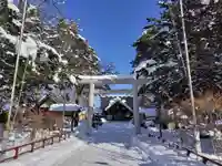 上富良野神社の鳥居