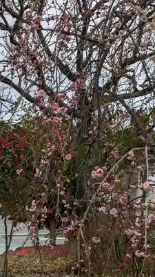 梅宮大社(京都府)