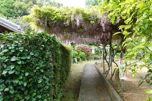 鎌八幡宮の自然