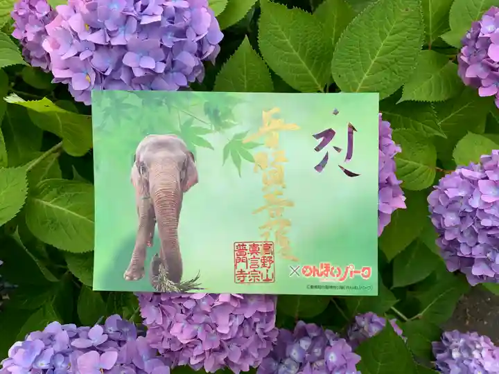 普門寺(切り絵御朱印発祥の寺)の御朱印