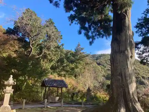普門寺(切り絵御朱印発祥の寺)のその他建物