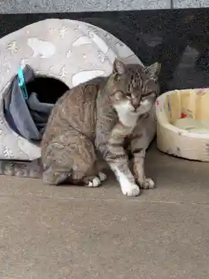 白金氷川神社(東京都)