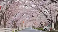 賀茂別雷神社（上賀茂神社）の周辺