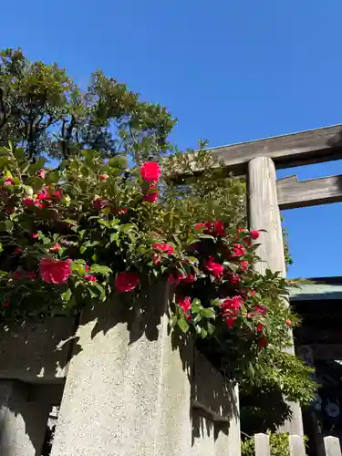 東京大神宮(東京都)
