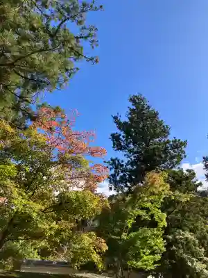 一乗寺(兵庫県)