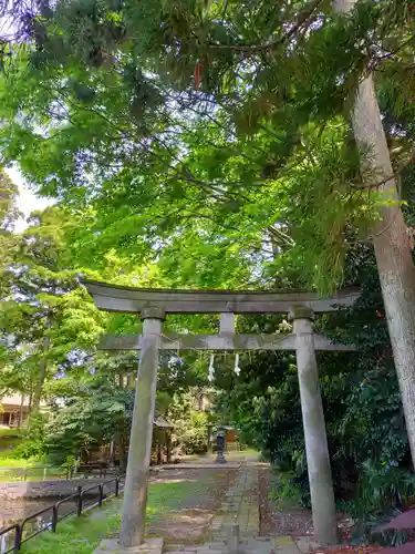 天津神社の鳥居