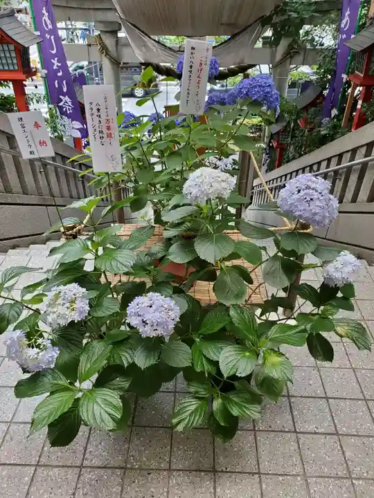 十番稲荷神社の自然