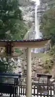 飛瀧神社(熊野那智大社別宮)(和歌山県)