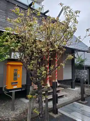 鹽竃神社の自然