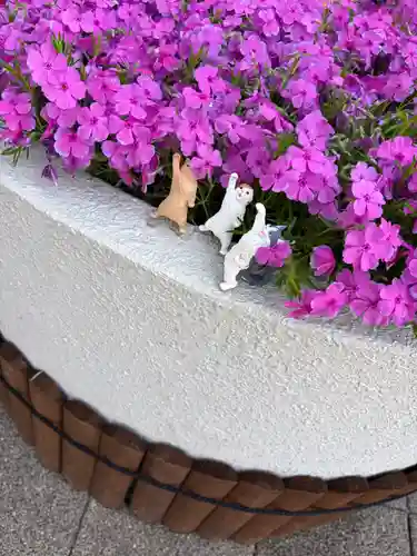 駒込妙義神社(東京都)