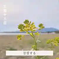 壽徳寺 じゅとくじの自然