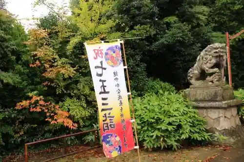 神炊館神社 ⁂奥州須賀川総鎮守⁂の狛犬