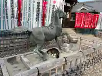 龍泉寺の狛犬