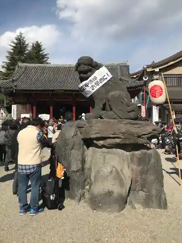 浅草神社の狛犬