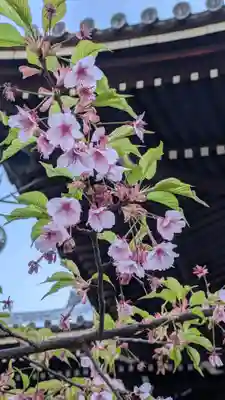 頂妙寺(京都府)